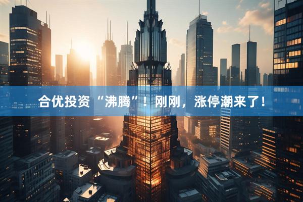 合优投资 “沸腾”！刚刚，涨停潮来了！